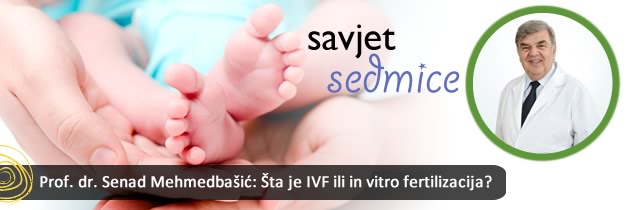 ivf-in-vitro